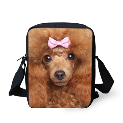 Messenger Bags